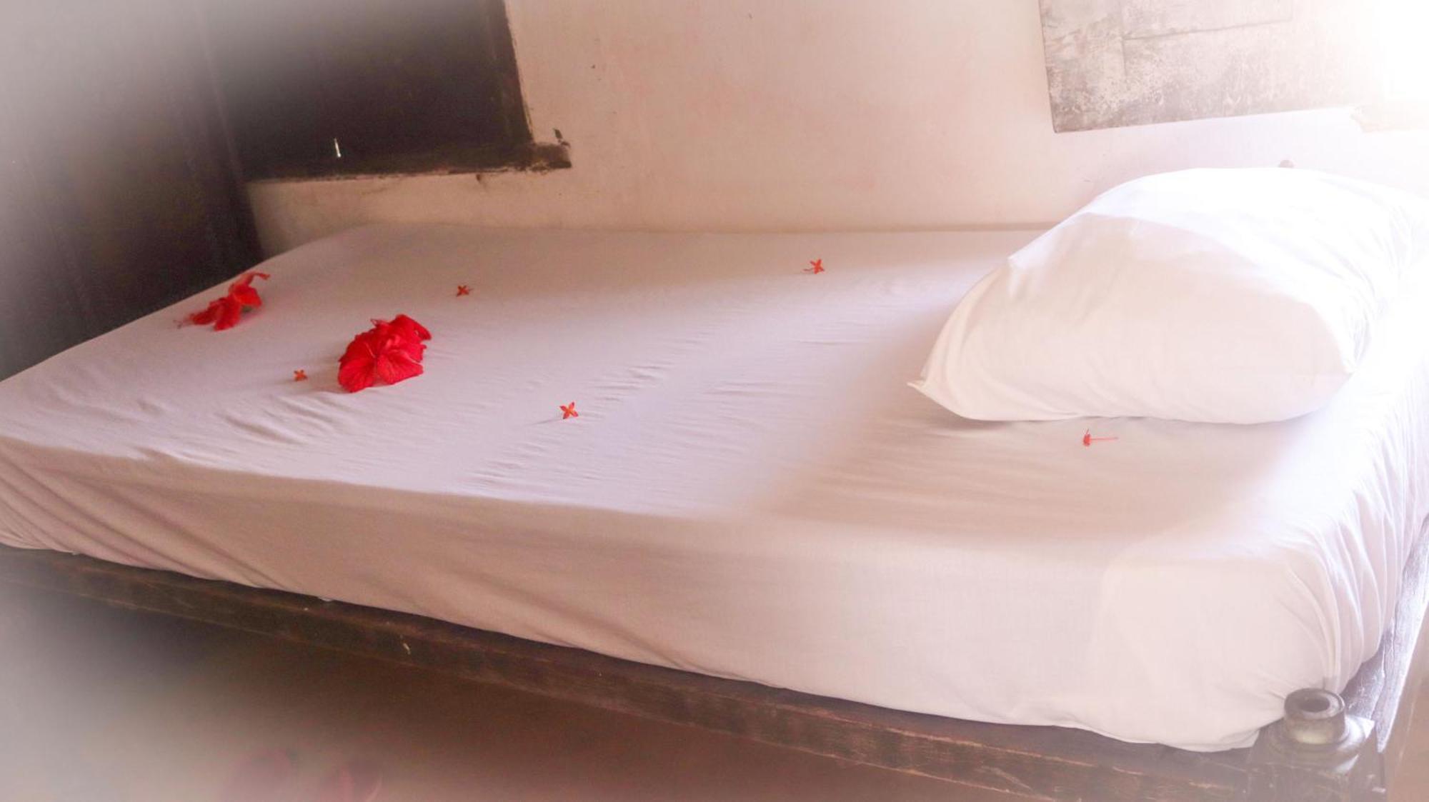 Hotel Jannat House à Lamu Extérieur photo